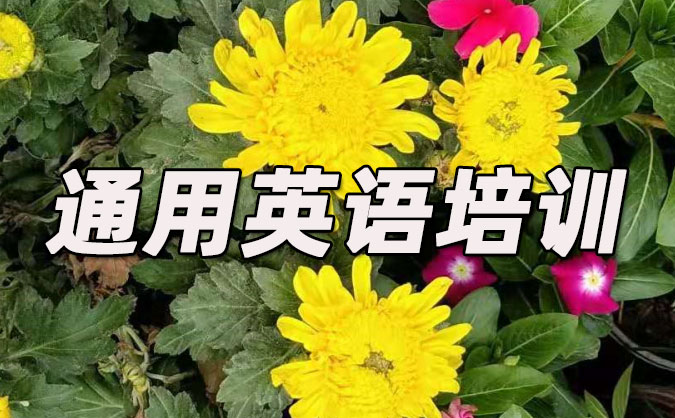 哈尔滨通用英语培训哪里好_价格