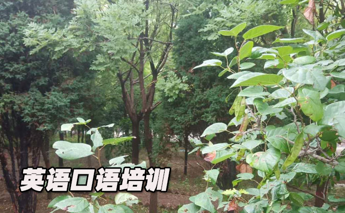 中山小榄镇从零开始学英语口语_专业培训机构，免费试听-美联学校