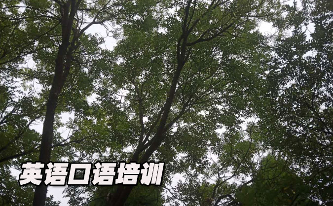 佛山南海区从零开始学英语口语_专业培训机构，免费试听-美联学校