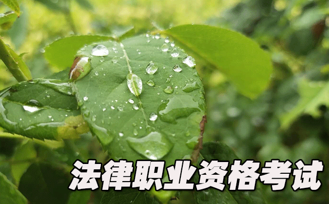 娄底法律职业资格考试-报名条件-考试时间-考试科目